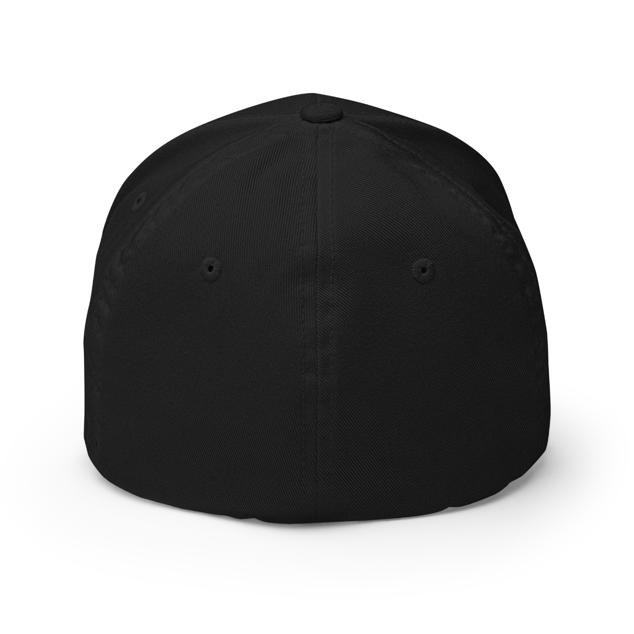 axsgtr axess electronics guitar music industry branded merchandise swag flexfit closed back baseball cap hat black back
